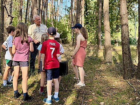 Wald-Detektive gesucht: Spurensuche mit allen Sinnen für Groß und Klein