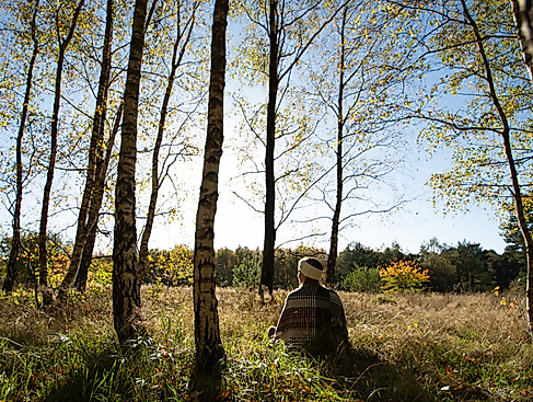 Waldbaden im Herbst im Wald bei Hamburg