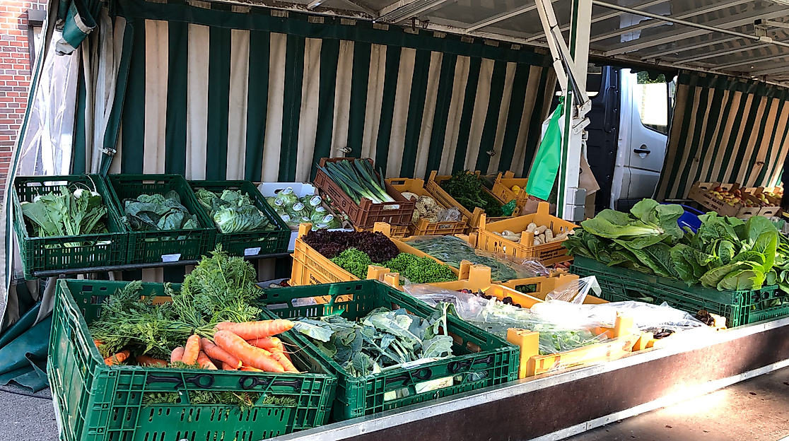 Wochenmarkt in Burg