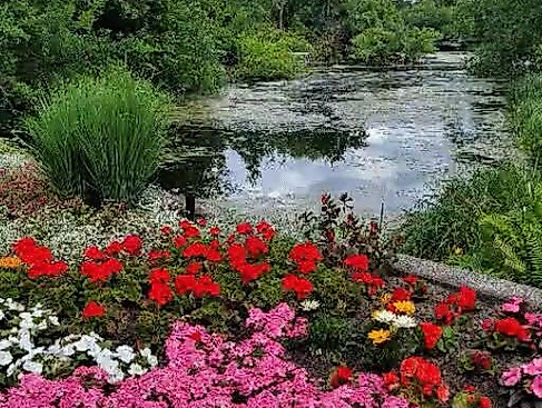 Teich im Kurpark Mölln