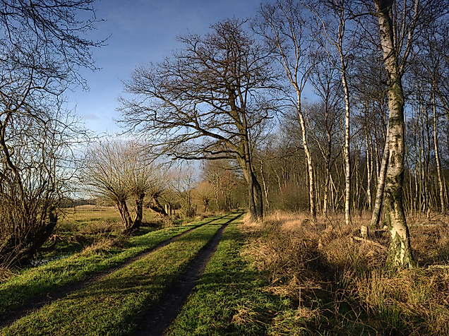 Naturschutzgebiete in Hamburg