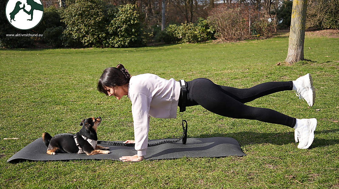www.aktivmithund.eu (1200 x 750 px)
