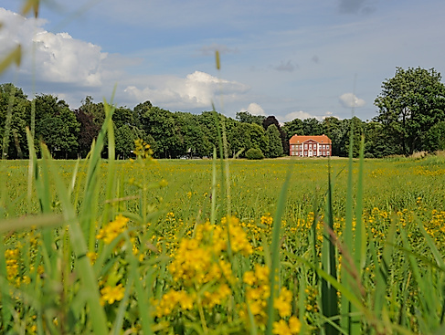 Kräuterwanderung durch die Obere Allerniederung bei Celle