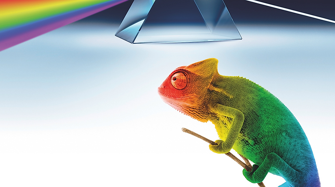 Grafik: Carl Bosch Museum Heidelberg