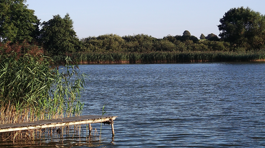 poggensee_c-birke_pixabay_179271