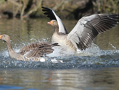 termin_21.03.26_IMG_5569