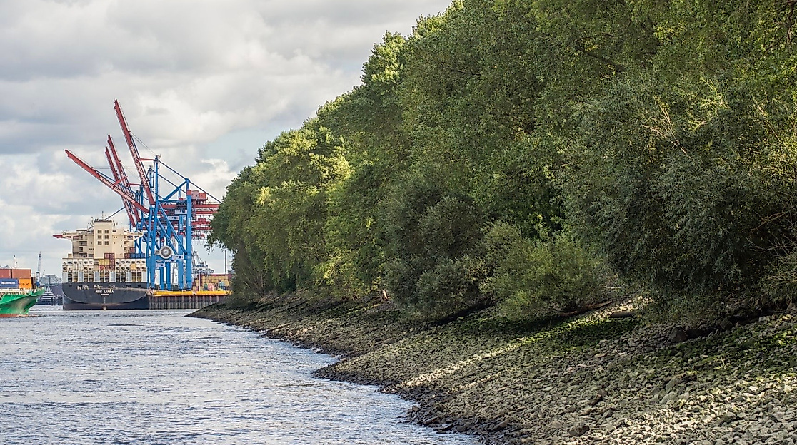 Der Elbwald vom Wasser aus gesehen