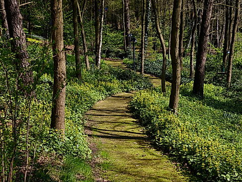 Gartenöffnung, Landschaftsgarten