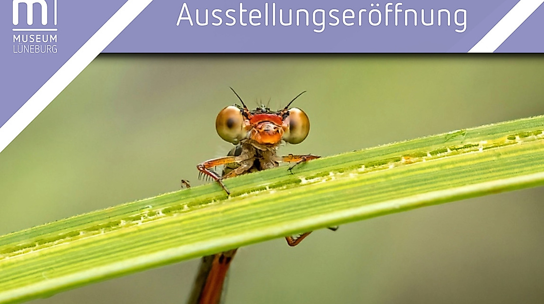 Ausstellungseröffnung "Wunder auf sechs Beinen"