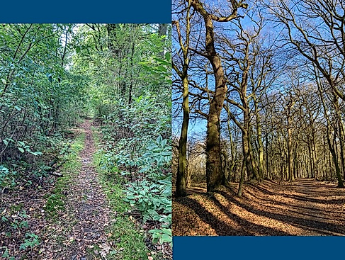 Mountainbike-Tour für Anfänger und Amateure