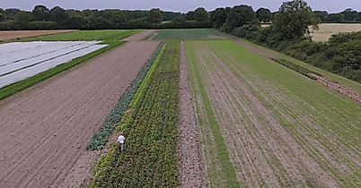 Gutskueche Wulksfelde