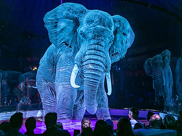 Elefant-Hologram-Roncalli-c-Roncalli
