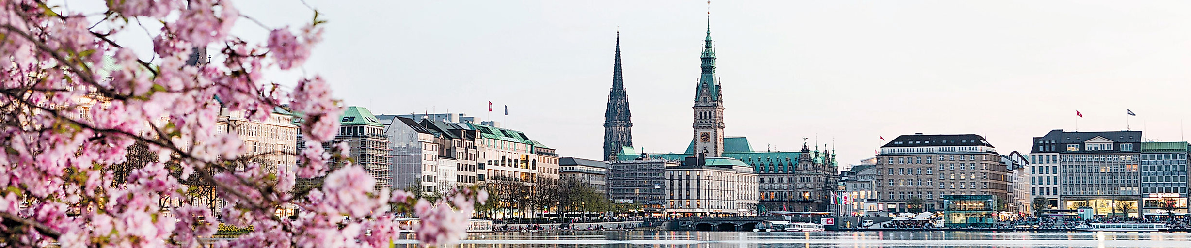 Binnenalster während der Kirschblüte