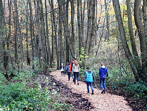 wanderung_durch_den_sunder_wald