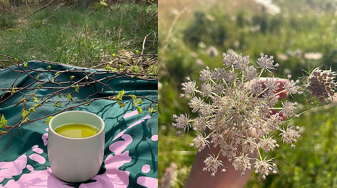 Wildkräuterkunde und Teezeremonie im Wald mit Waldimpuls-Hamburg