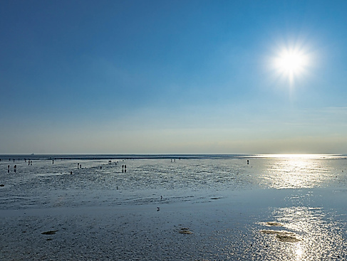 Watt für Einsteiger: Kurze Wattwanderung in Büsum