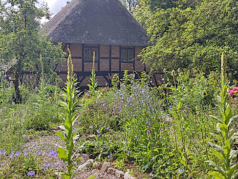 Für mehr Arten im Garten