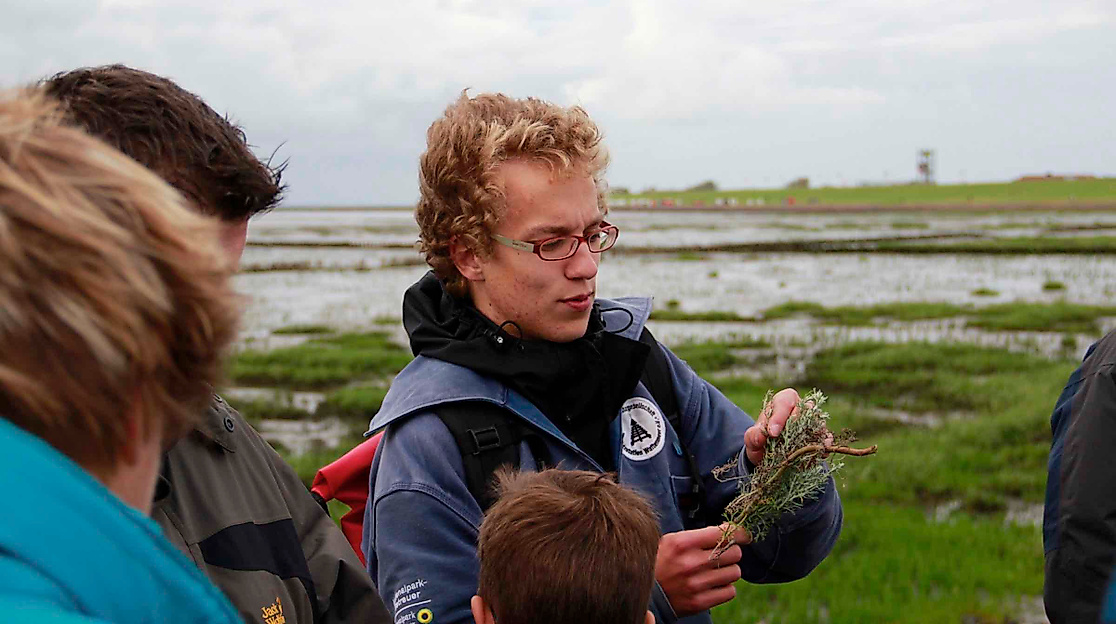 Salzwiesenführung - In Neptuns Vorgarten