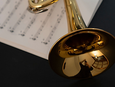 Mare Brass
