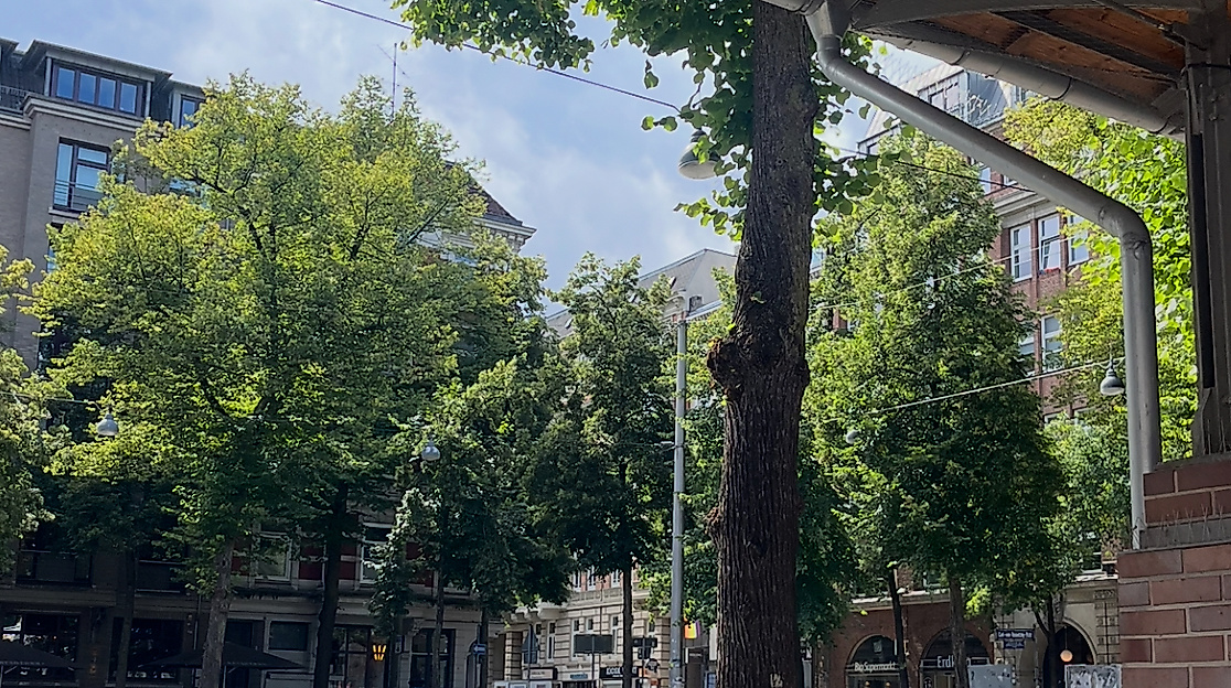 CvO-Platz