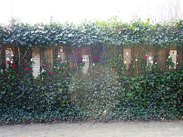 bullenhuser_damm_rosengarten_c-iris_groschek_kz_gedenkstaette_neuengamme