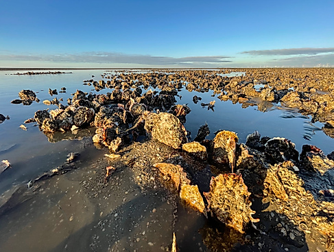 Wattführung "Lichtmomente"