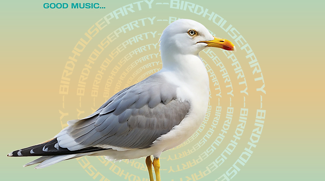 hafenklang_frontflyer