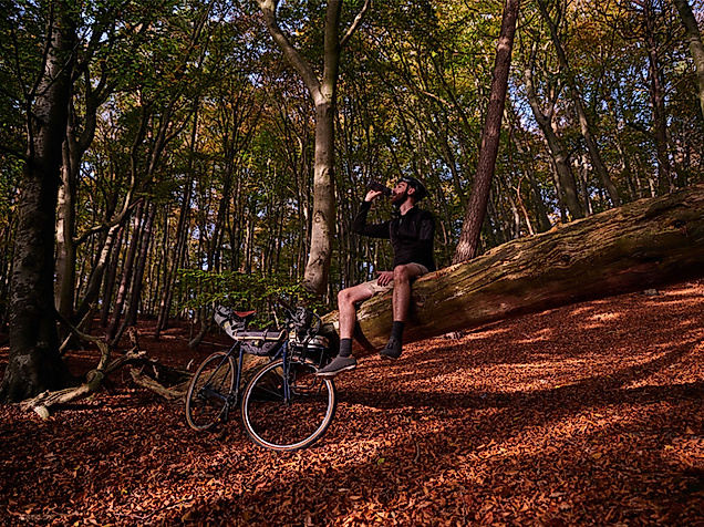 Wohldorfer Wald