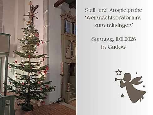 Weihnachtsbaum in Gudower Kirche