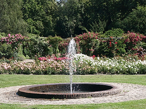 Der Rosengarten in Pinneberg