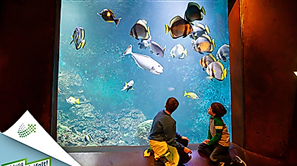 Workshop: Ocean Mystery