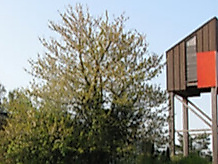 Gemeinsamer Gottesdienst in Ellerbek