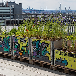 Bunkerführung St. Pauli