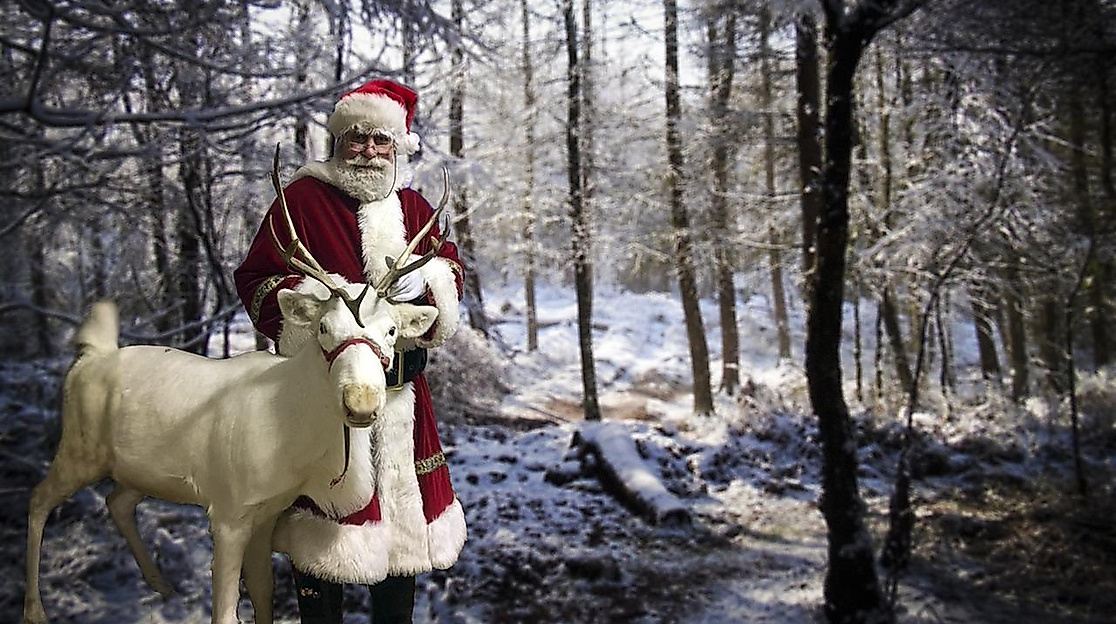 Bild von Ron Porter auf Pixabay