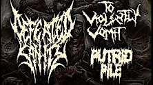 Defeated Sanity with To Violently Vomit, Putrid Pile & more