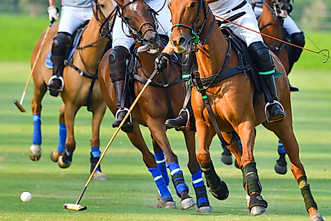 Polo Spiel