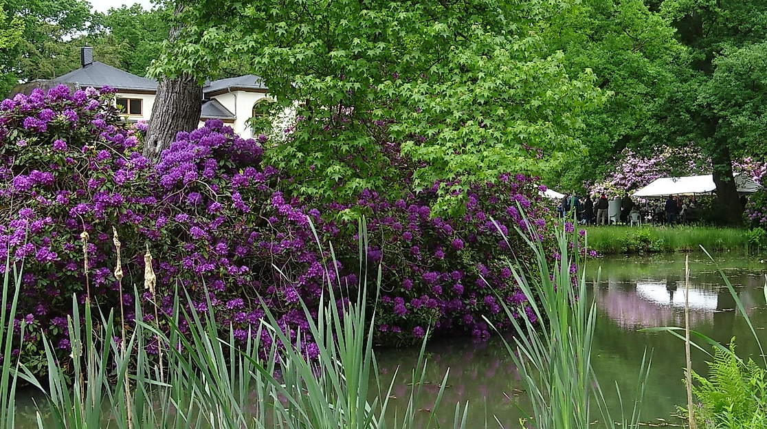 Villa hinter Rhododendren