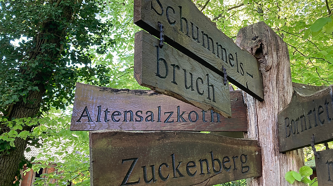 Sülze-Saline-ccbysa-GLink-250606-1