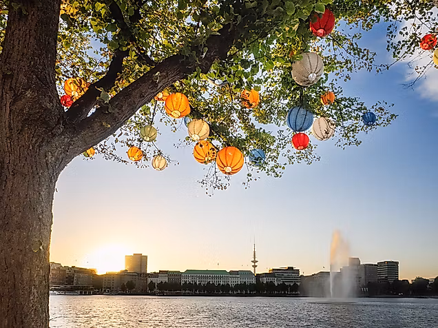 Bunte Lampions im Baum mit Blick auf Alsterfontäne in Hamburg