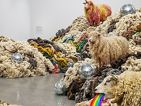 A symphony of wool - Premiere