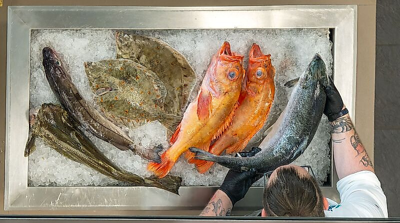 Bunte Herbstzeit - Fisch querbeet