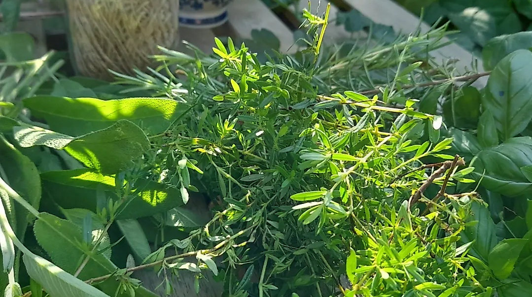 Gartenöffnung Lady Buttercups World