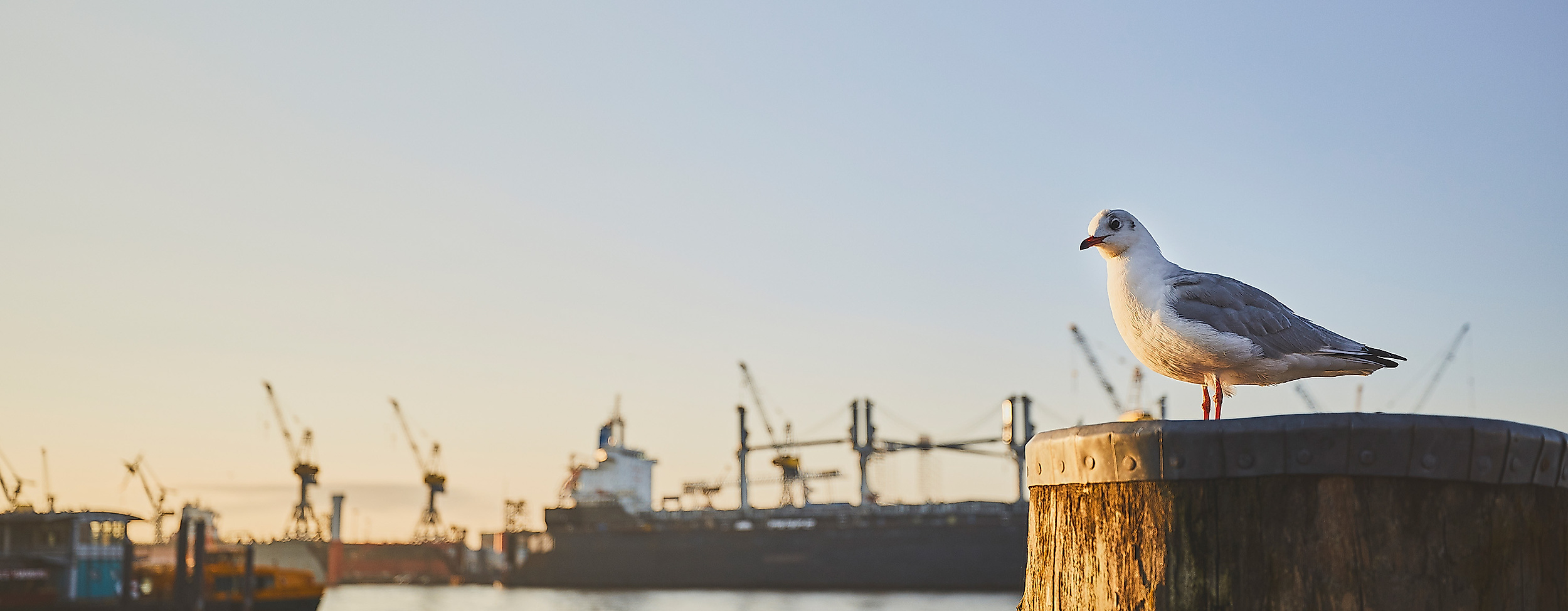 Wo ist was im Hamburger Hafen