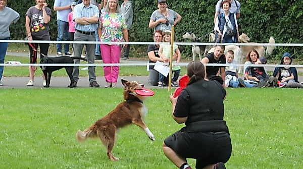 Tag des Hundes