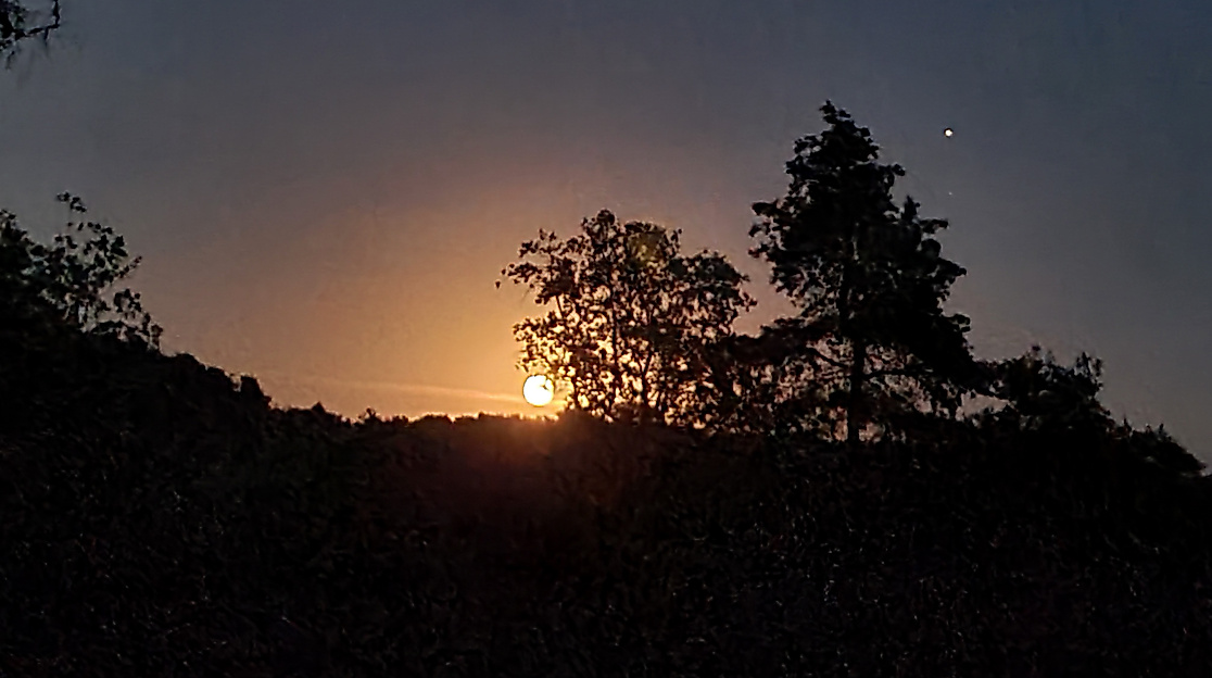 Vollmond_Heide