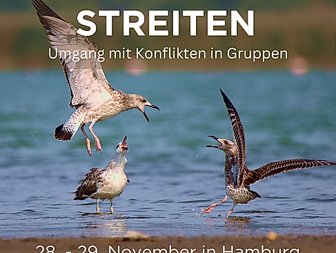 seminar_zusammen-streiten_hamburg_nov2026