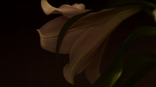 Andacht zur Sterbestunde Jesu