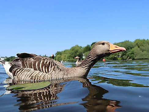 termin_02.05.26_IMG_7504_KANU