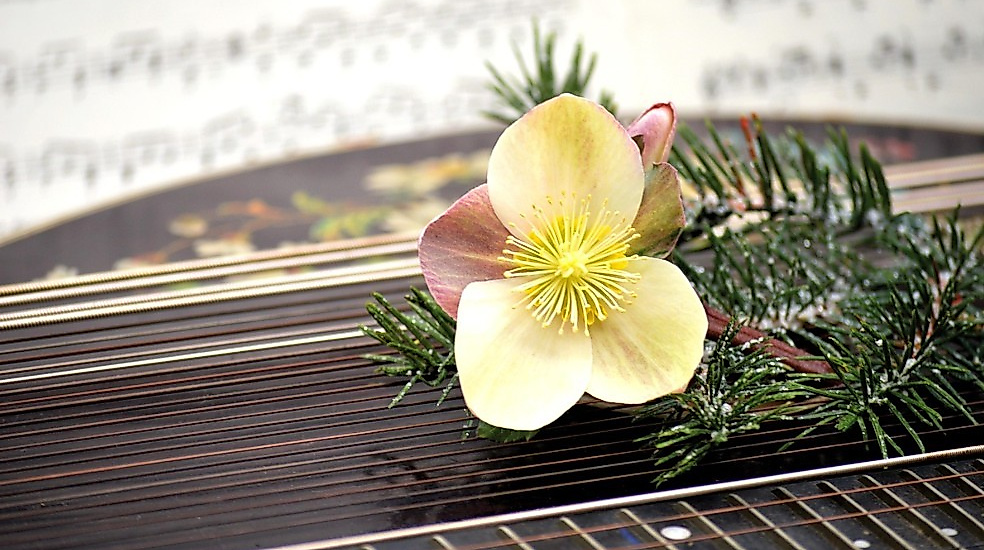 26-11-30 Zauberhafte Klänge der Zither ©pixabay