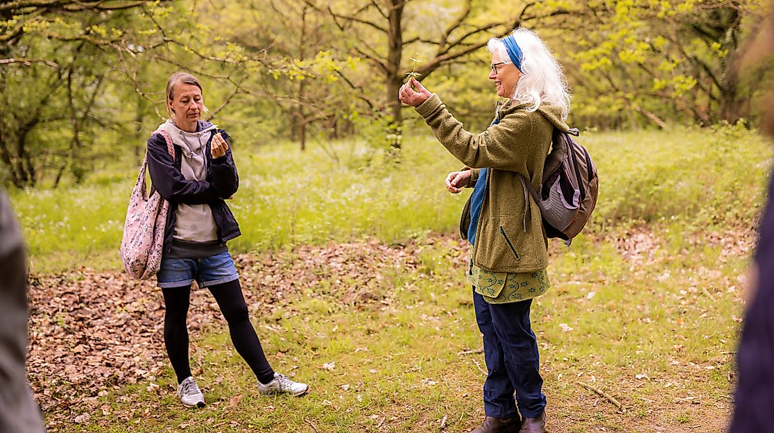 Fühlen, riechen schmecken, richtig hinschauen, sich überraschen lassen von den Besonderheiten der Pflanzen unter fachkundiger Begleitung der Kräuterexpertin Iris Bein.